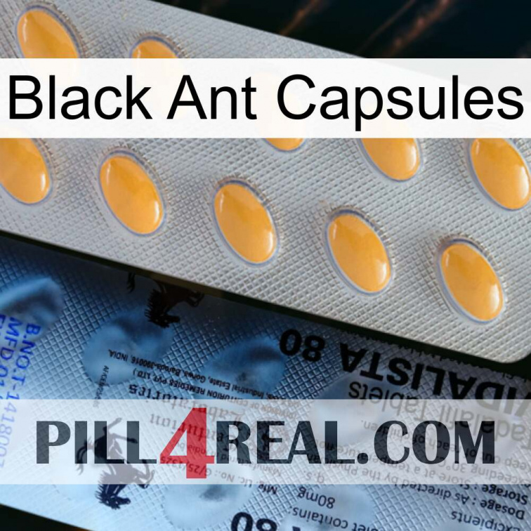 Black Ant Capsules 44
